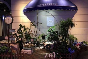 上海浦东新区洋泾街道附近酒吧招聘包厢气氛租,接受新人的