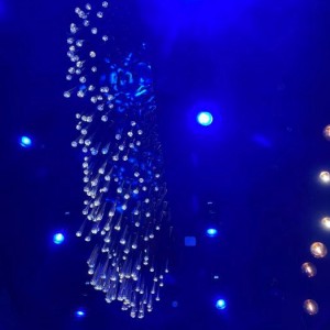 杭州哪些酒吧招聘女服务员,有身高要求吗？