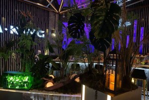 上海高档夜总会招聘包厢管家,应聘联系方式是什么