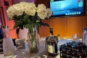 上海奉贤区金海街道附近ktv招聘酒水促销员,(不够给补贴)