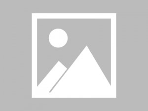 上海浦东新区大团镇附近酒吧招聘商务礼仪,(不需要喝酒的)