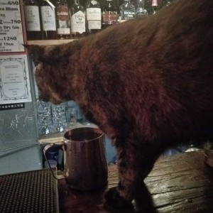 招聘技术文案简短（精准招聘：技术文案高效凝练技巧）