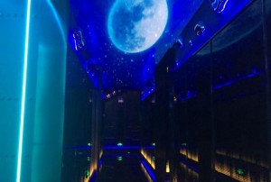 东坡酒楼招聘文案（东坡雅集·酒香寻才——酒楼精英招募启事）