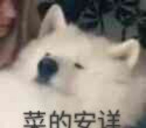 招聘美甲美睫宣传文案（魅力指尖与眼睫的艺术——美甲美睫招募宣传文案）