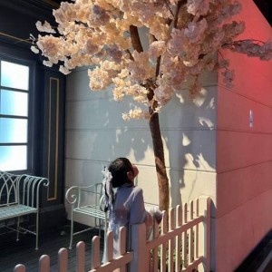 荔枝的招聘文案（探索味蕾之旅：荔枝诚邀您的加入，共创甜美事业新篇章）