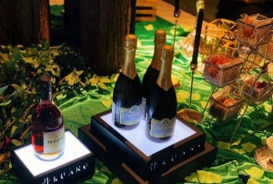 上海嘉定区马陆镇附近酒吧招聘包厢管家,有哪些工作岗位